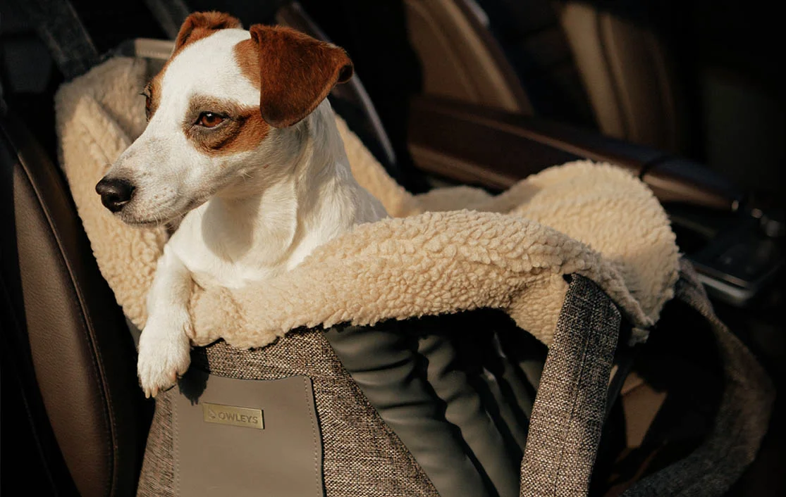 Japanese Terrier Dog Carrier Car Seat for Ford F-Series