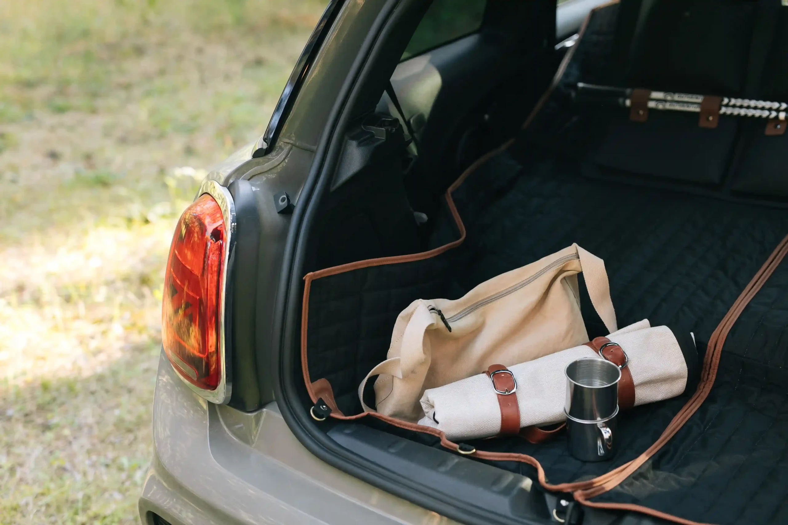 fold up picnic blanket with strap