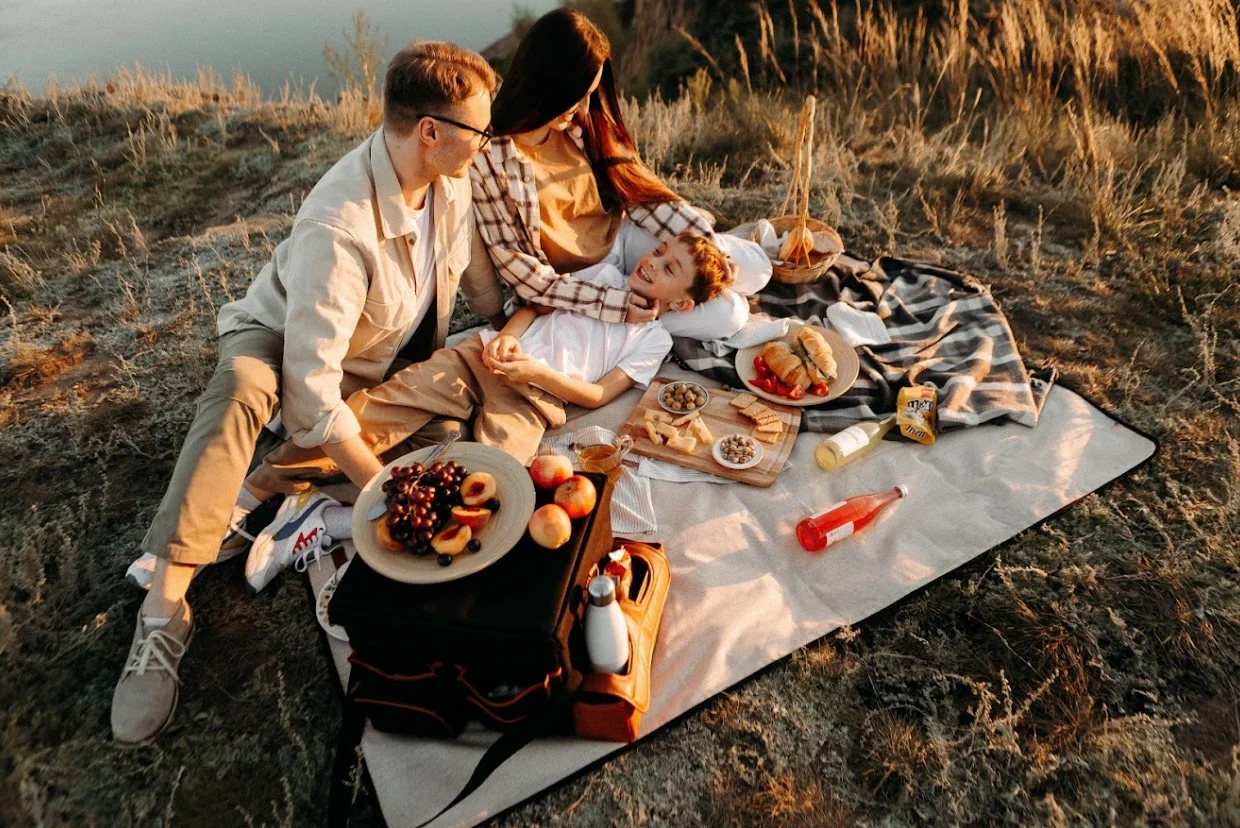 high end picnic blanket